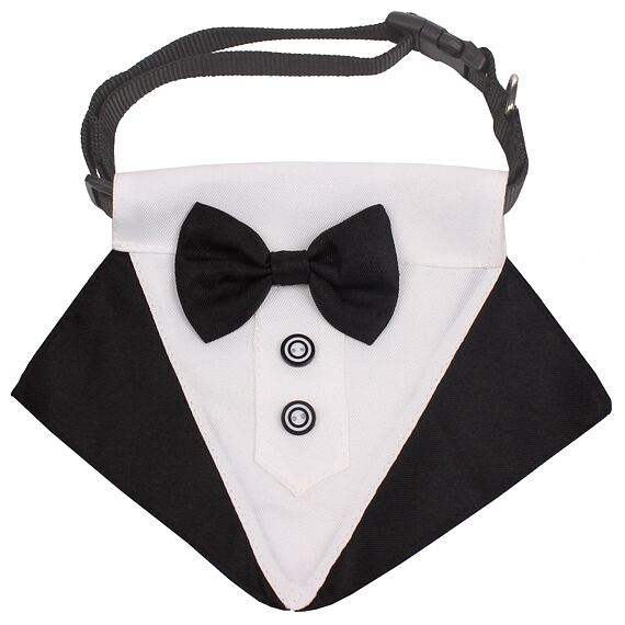 Formal motýlik pre psy čierna