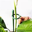 Plant Buckle spony pro tyčky k rostlinám 10 ks