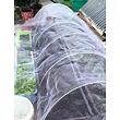 Garden Mesh síť proti hmyzu a ptákům 2,5 x 10 m
