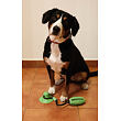 Doggie hračka pre psy