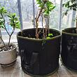 Grow Bag 57L textilný kvetináč